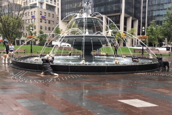 Berczy Park