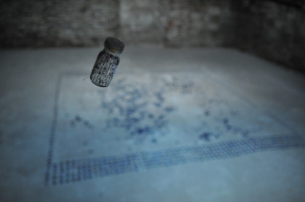 Martine Viale's In Vivo/Toronto installation at XPACE Cultural Centre