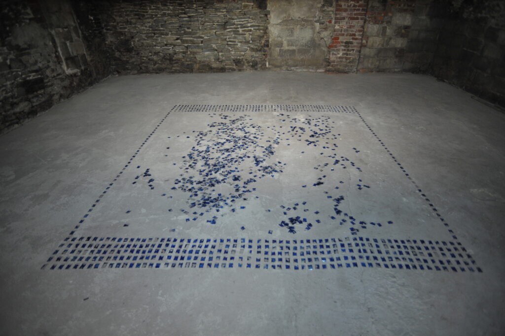 Martine Viale's In Vivo/Toronto installation at XPACE Cultural Centre