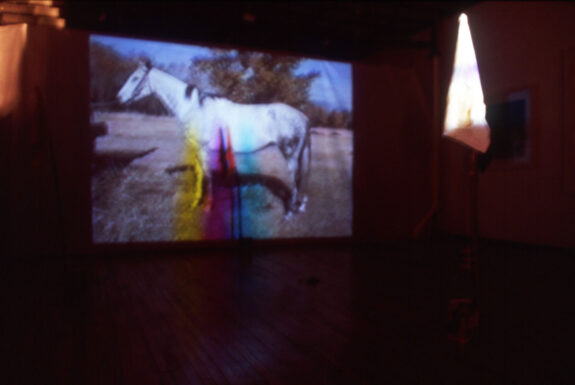 Screen shot of Judith Norris's Holy Dog (remote performance)