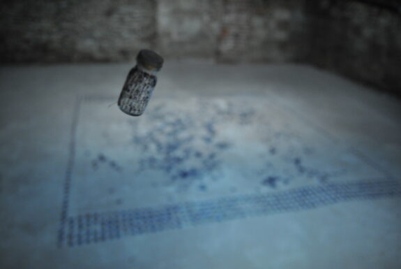Martine Viale's In Vivo/Toronto installation at XPACE Cultural Centre